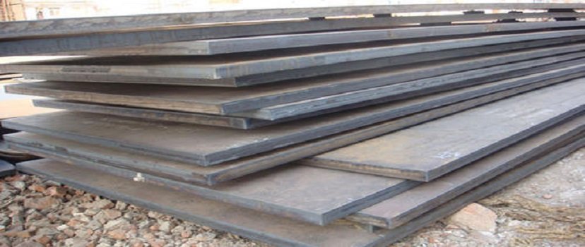 Optim 700-sheet-plate