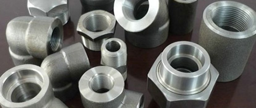 Stainless Steel  310/310S/310H-Forged Fitting